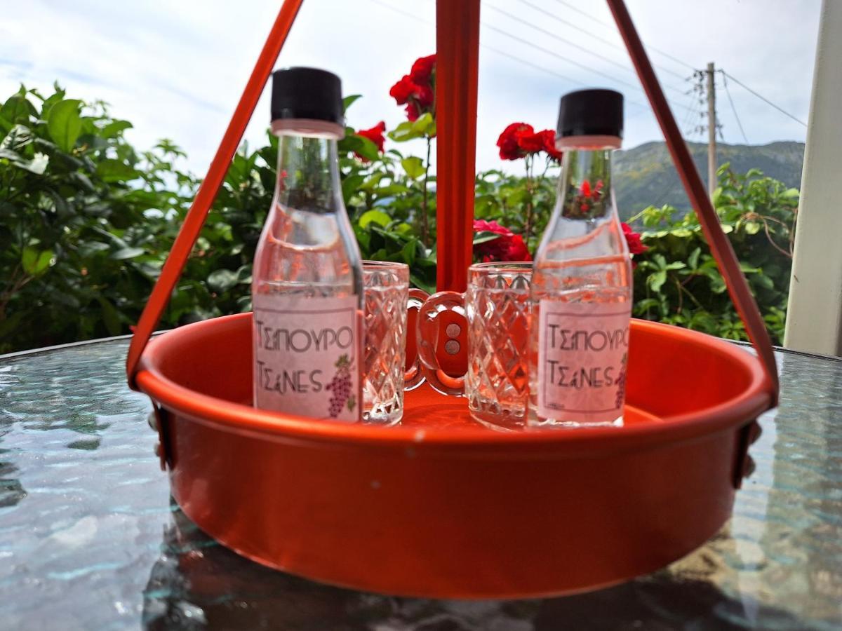Guest House Tsanes Pinakokhorion 외부 사진